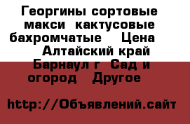 Георгины сортовые (макси, кактусовые, бахромчатые) › Цена ­ 70 - Алтайский край, Барнаул г. Сад и огород » Другое   
